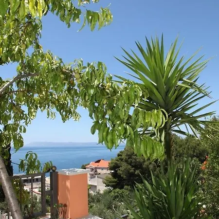 In With Sea View, Terrace, Air Conditioning, Wifi 849-2 *